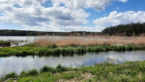 Urokliwe Jezioro Maciejak - zdjęcie 2