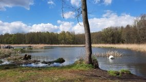 Urokliwe Jezioro Maciejak - zdjęcie 3