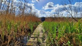 Urokliwe Jezioro Maciejak - zdjęcie 6