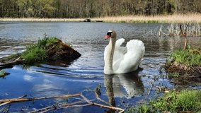Urokliwe Jezioro Maciejak - zdjęcie 7