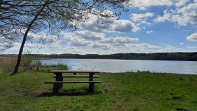 Urokliwe Jezioro Maciejak - zdjęcie 8