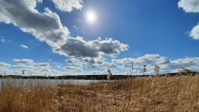 Urokliwe Jezioro Maciejak - zdjęcie 9