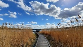 Urokliwe Jezioro Maciejak - zdjęcie 11