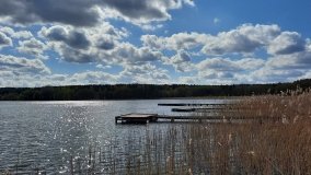 Urokliwe Jezioro Maciejak - zdjęcie 14