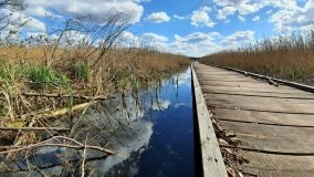 Urokliwe Jezioro Maciejak - zdjęcie 15