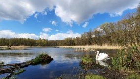 Urokliwe Jezioro Maciejak - zdjęcie 16