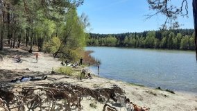 Jezioro Miejskie, ogromne sosny i… Floryda  - zdjęcie 2