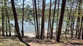 Jezioro Miejskie, ogromne sosny i… Floryda  - zdjęcie 5