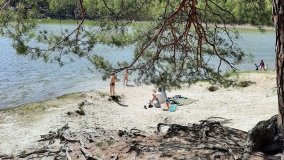 Jezioro Miejskie, ogromne sosny i… Floryda  - zdjęcie 6