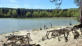 Jezioro Miejskie, ogromne sosny i… Floryda  - zdjęcie 7