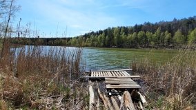 Jezioro Miejskie, ogromne sosny i… Floryda  - zdjęcie 8