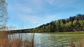 Jezioro Miejskie, ogromne sosny i… Floryda  - zdjęcie 9