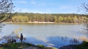 Jezioro Miejskie, ogromne sosny i… Floryda  - zdjęcie 12