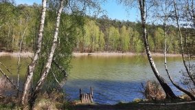 Jezioro Miejskie, ogromne sosny i… Floryda  - zdjęcie 13