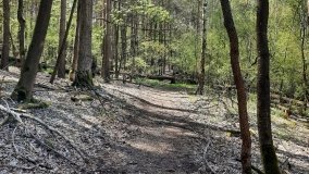 Jezioro Miejskie, ogromne sosny i… Floryda  - zdjęcie 16