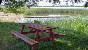 Jezioro Sadłogoskie to bogactwo fauny i flory - zdjęcie 8