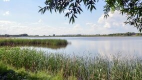 Jezioro Sadłogoskie to bogactwo fauny i flory - zdjęcie 6