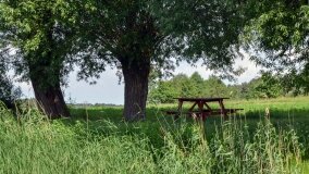 Jezioro Sadłogoskie to bogactwo fauny i flory - zdjęcie 4