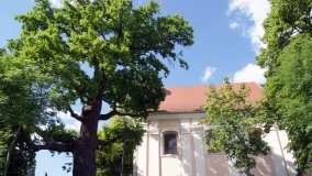 Łabiszyn - zdjęcie 3