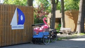 Łabiszyn - zdjęcie 13