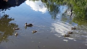 Łabiszyn - zdjęcie 18