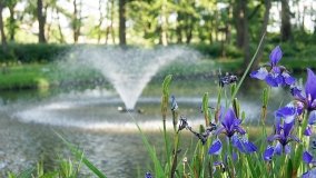 Łabiszyn - zdjęcie 19